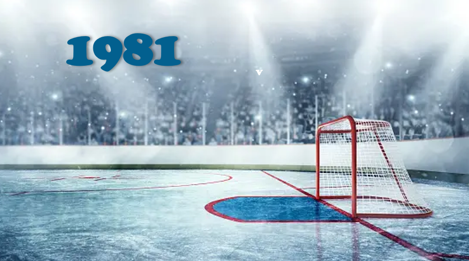 1981 Eishockey-Weltmeisterschaft