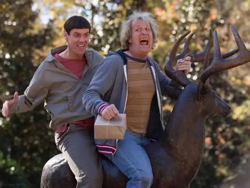 Noob - Přemíra radosti škodí