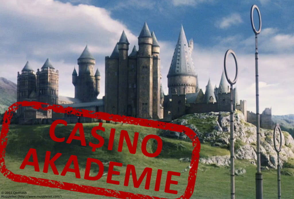 Casino akademie - cover